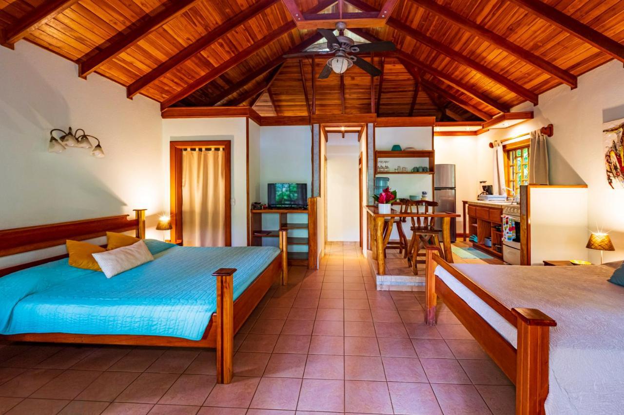 El Nido Jungle Lodge Puerto Viejo de Talamanca Kültér fotó