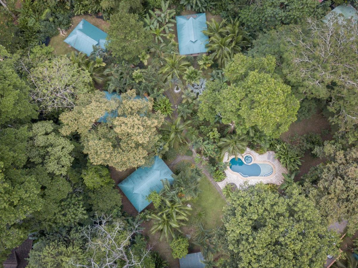 El Nido Jungle Lodge Puerto Viejo de Talamanca Kültér fotó