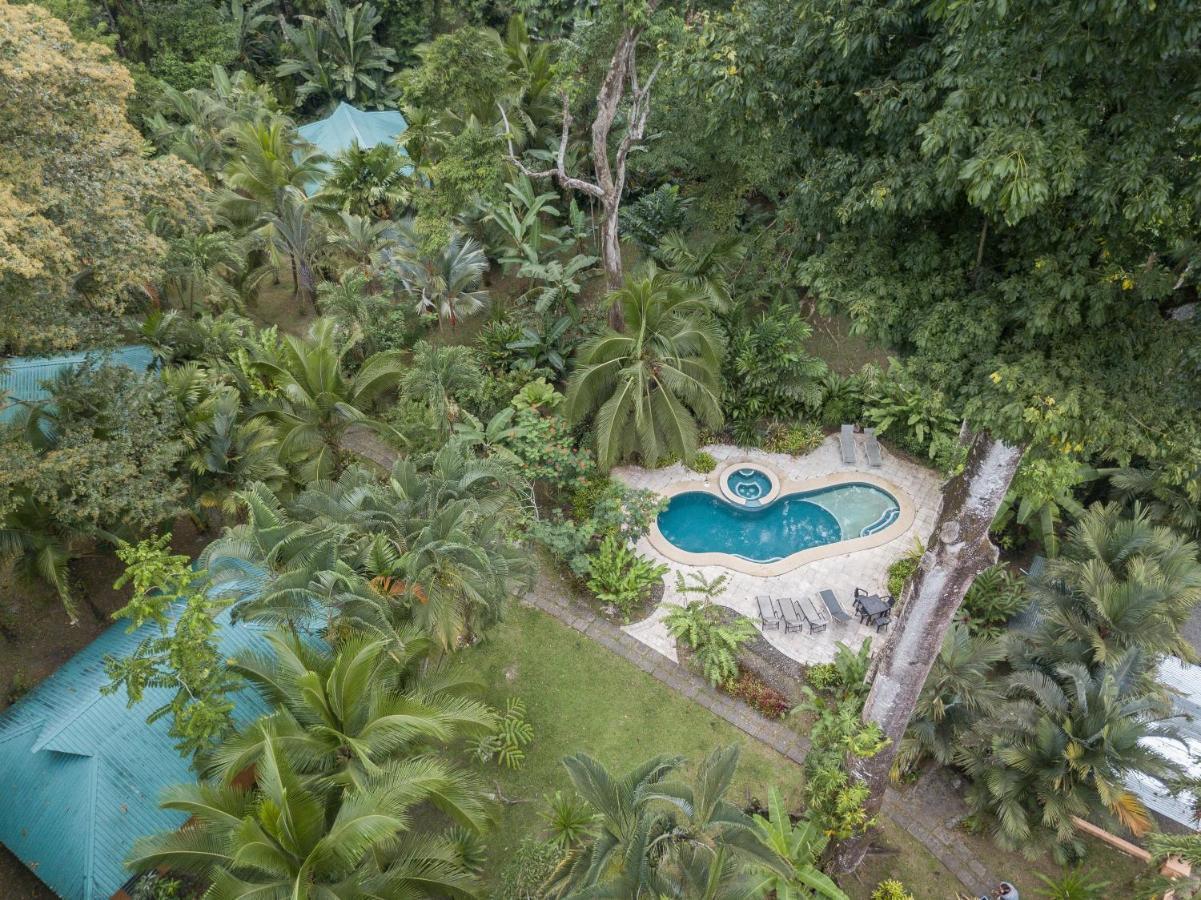 El Nido Jungle Lodge Puerto Viejo de Talamanca Kültér fotó