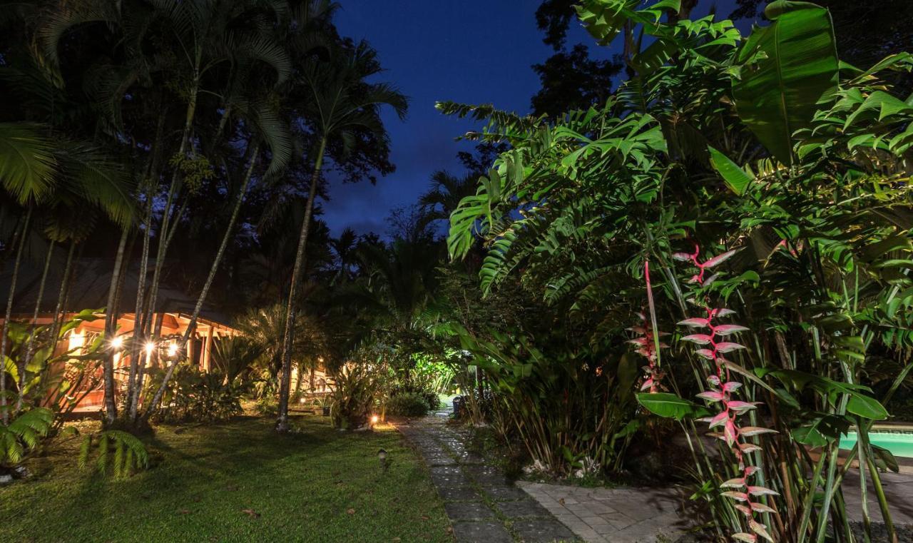 El Nido Jungle Lodge Puerto Viejo de Talamanca Kültér fotó