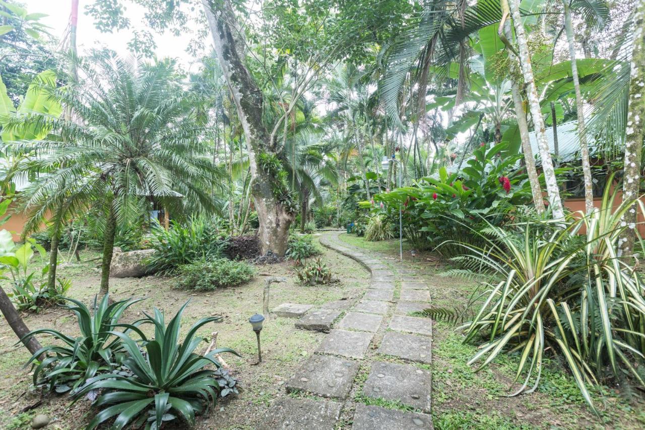 El Nido Jungle Lodge Puerto Viejo de Talamanca Kültér fotó