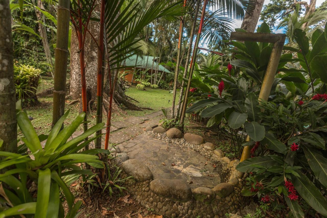 El Nido Jungle Lodge Puerto Viejo de Talamanca Kültér fotó