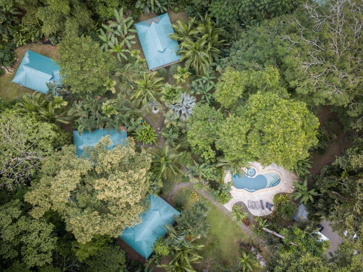 El Nido Jungle Lodge Puerto Viejo de Talamanca Kültér fotó